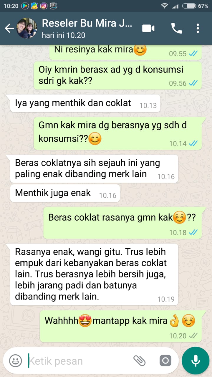 beras coklat 1