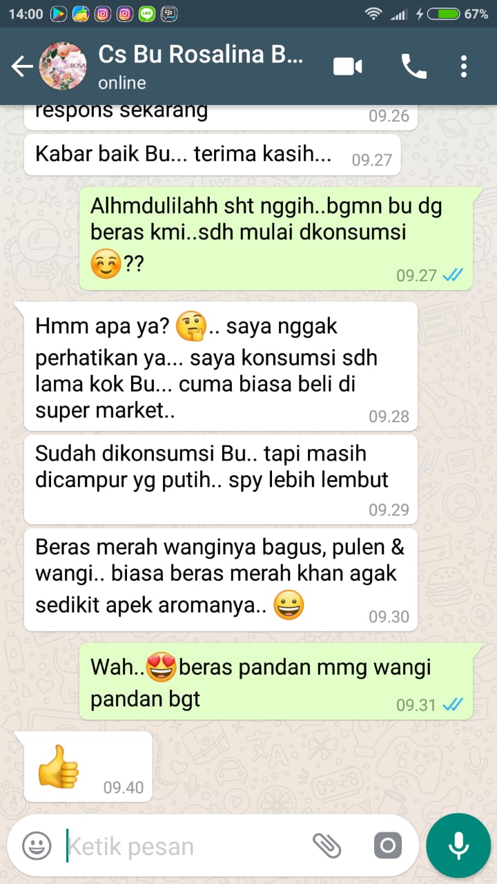 beras merah