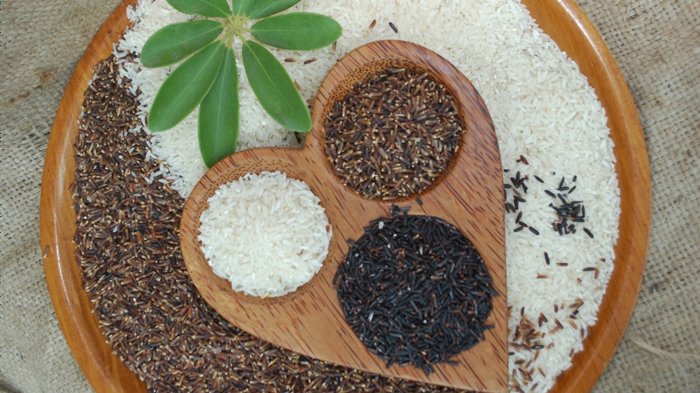 nutrisi yanag dibutuhkan ibu hamil