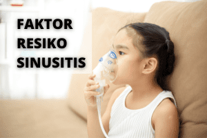 faktor resiko sinusitis