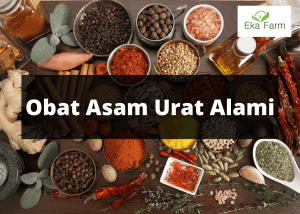 Obat Asam Urat Alami