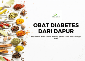 pengobatan diabetes