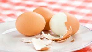 TELUR REBUS