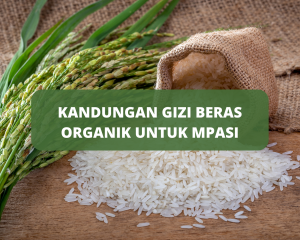 kandungan gizi beras organik untuk mpasi