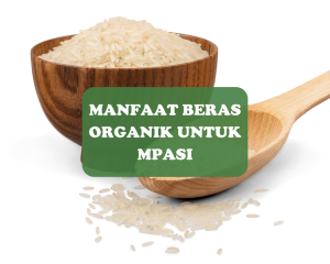 manfaat beras organik untuk mpasi