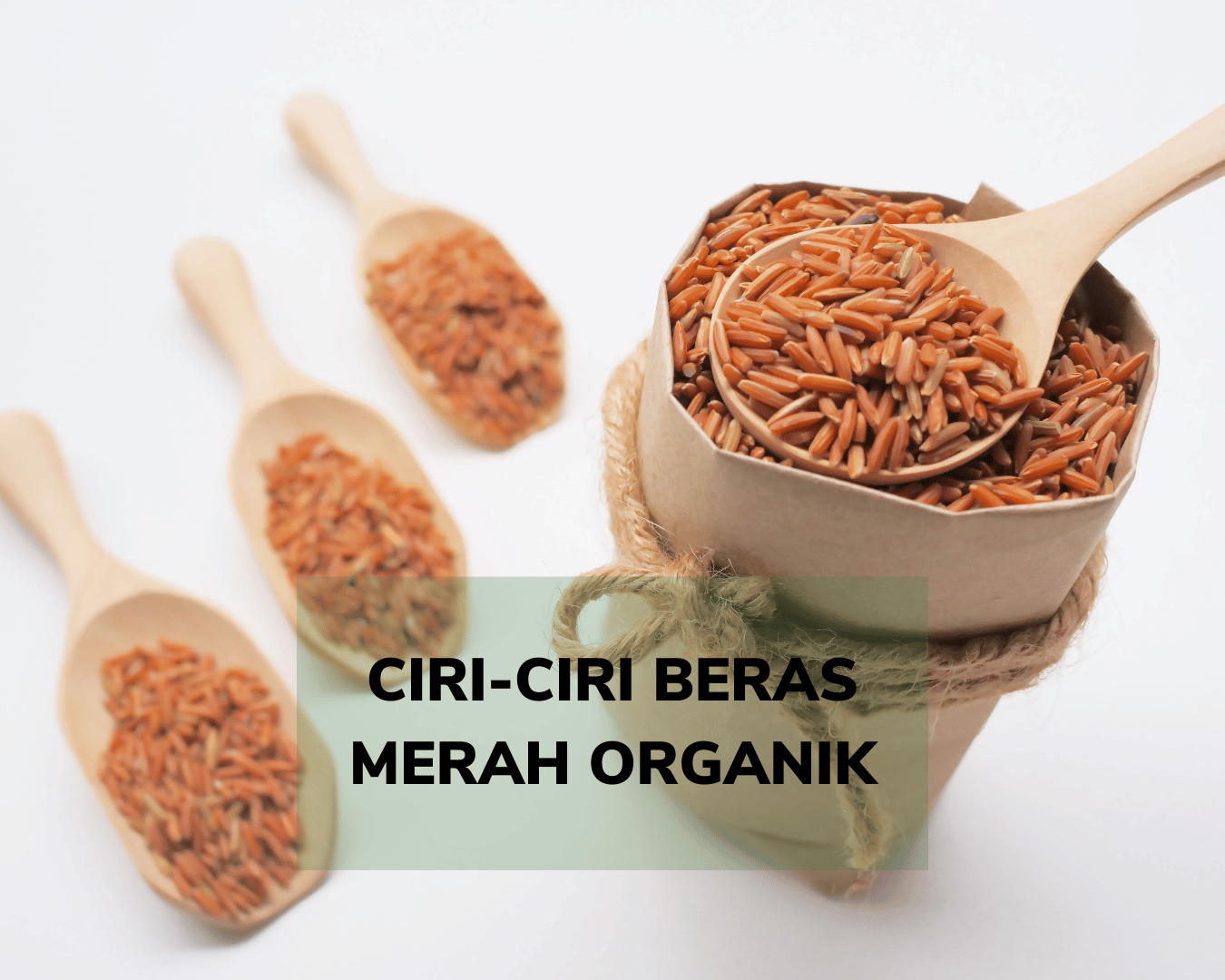 ciri ciri beras merah organik