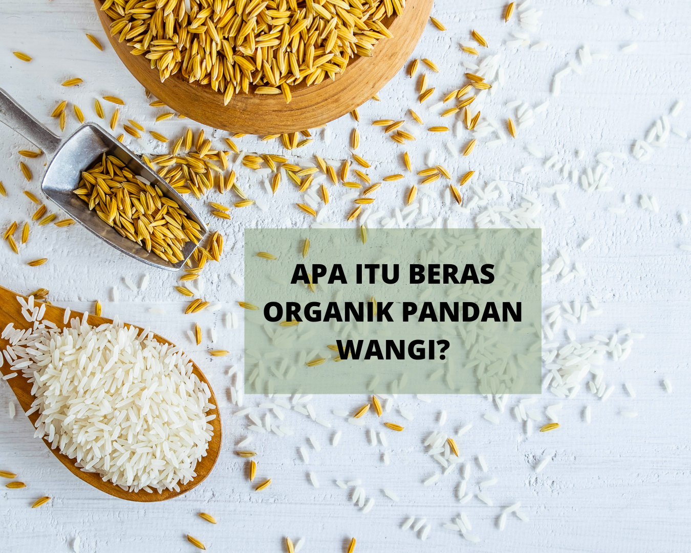 Beras Pandan Wangi Organik
